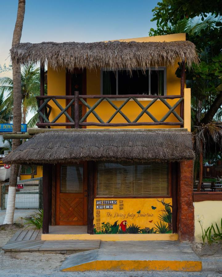 The Diving Lodge Downtown プエルト・モレロス エクステリア 写真